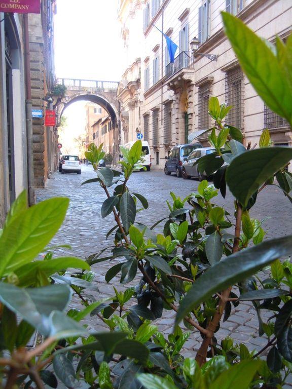 Via Giulia Apartment Rome Buitenkant foto